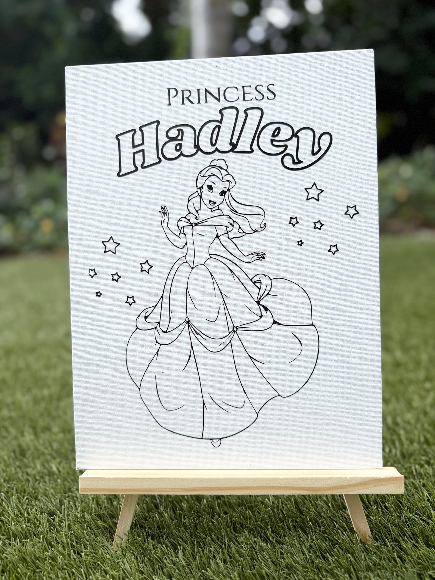 Canvas (paint included)